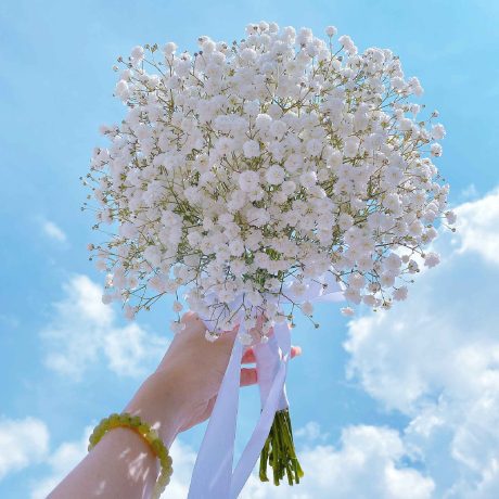Baby Breath ROM