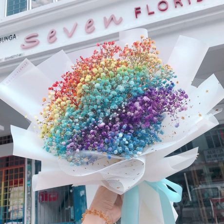 seven florist rainbow baby breath1
