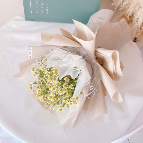 seven florist chamomile 01a