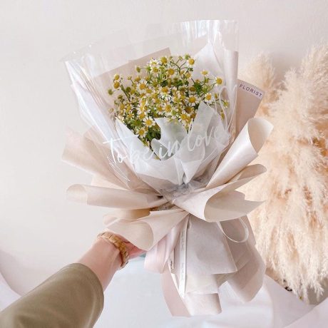 seven florist chamomile 02a