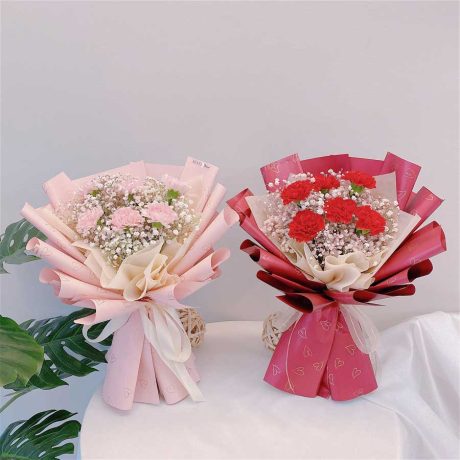 Lovely Carnation