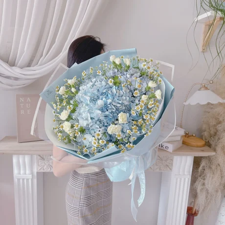 Hydrangea Bliss