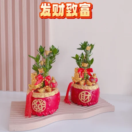 Prosperity and Wealth 发财致富 01